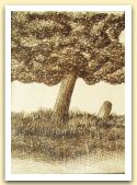 Miriam Bizioli, albero 2, china su carta.jpg