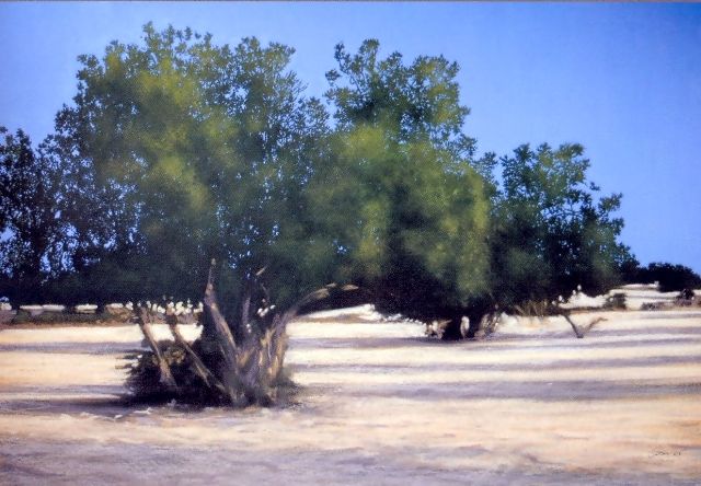 Image Image