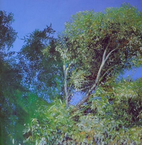Image Image