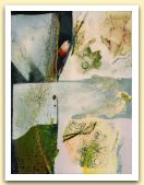 1 La Parete Dimenticata-2005-tecnica mista su tela-80x60cm.jpg