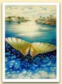 9 - Visioni con farfalla, pastello cm 60x80, 2005.jpg