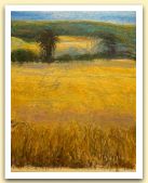 15.Vincenzo Nucci, olio su tela.jpg