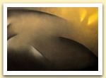 Interno con lumi, 1997, pastello su cartoncino, cm.36,5x51.jpg