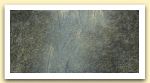 Tracce di segni, 2005, olio su tela, cm.80x160.jpg