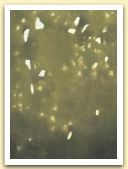 Segni segreti, 2007, pastello, cm.51x36,5.JPG