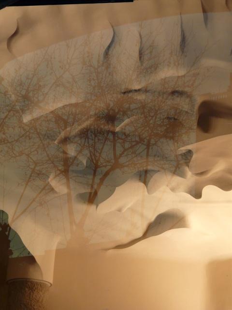 Image Image