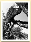 photo 07-equilibrio.jpg