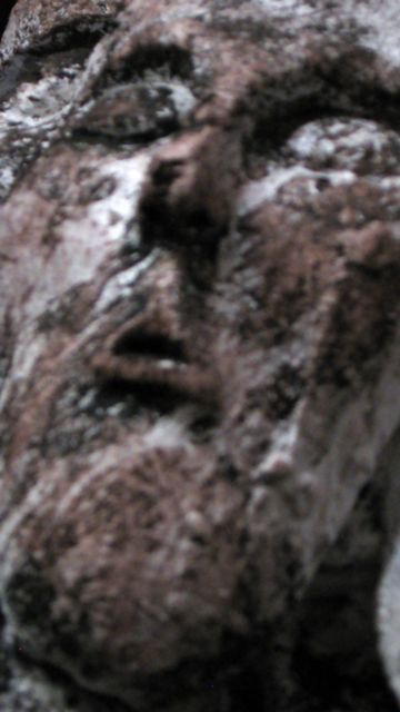 Image Image