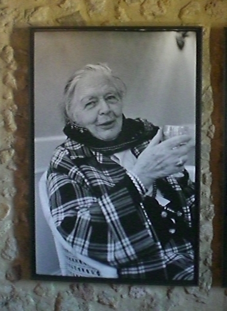 Image Image