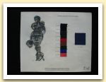 41-Ritratto, collage su carta, 33x39 cm. 1997.jpg