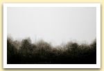woodstock 60x100 - 2005.jpg