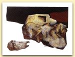 23 La cacciata, olio polimaterico su tela, cm 50x70.jpg