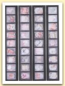 Teca appassionata, 1993 - Legno, paraffina, lattine  Cm 100 x 15 x 3  Collezione Muiseum, Bagheria.jpg