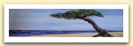 7-Marina - olio su tela cm 120x30.jpg