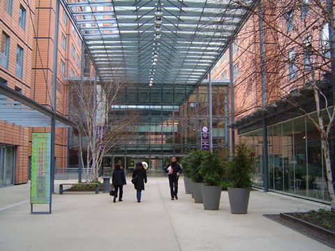 Image Image