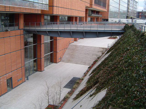 Image Image