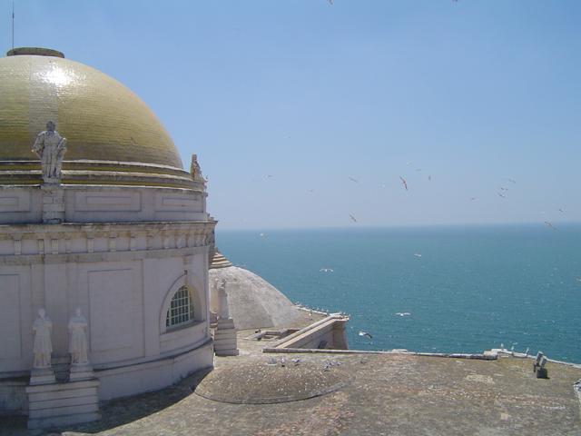 Image Image